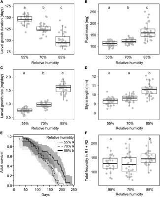 “Born with a silver spoon in the mouth has bad sides too”: Experimentally increasing growth rate enhances individual quality but accelerates reproductive senescence in females of the mealworm beetle, Tenebrio molitor